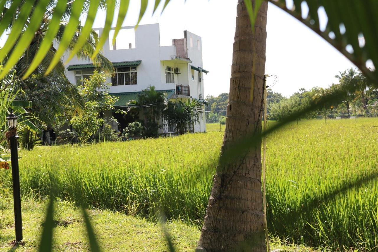 Manel Guest House Polonnaruwa Esterno foto